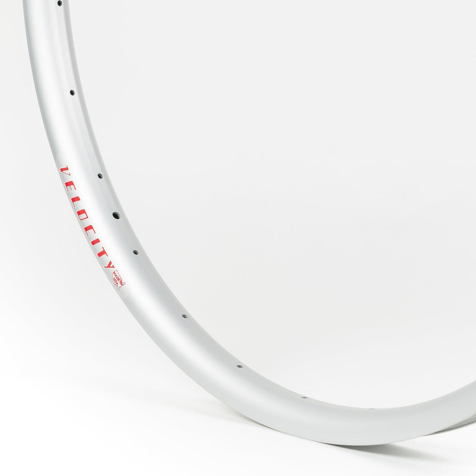 Velocity Blunt 35 Rim 24" x 1.5"