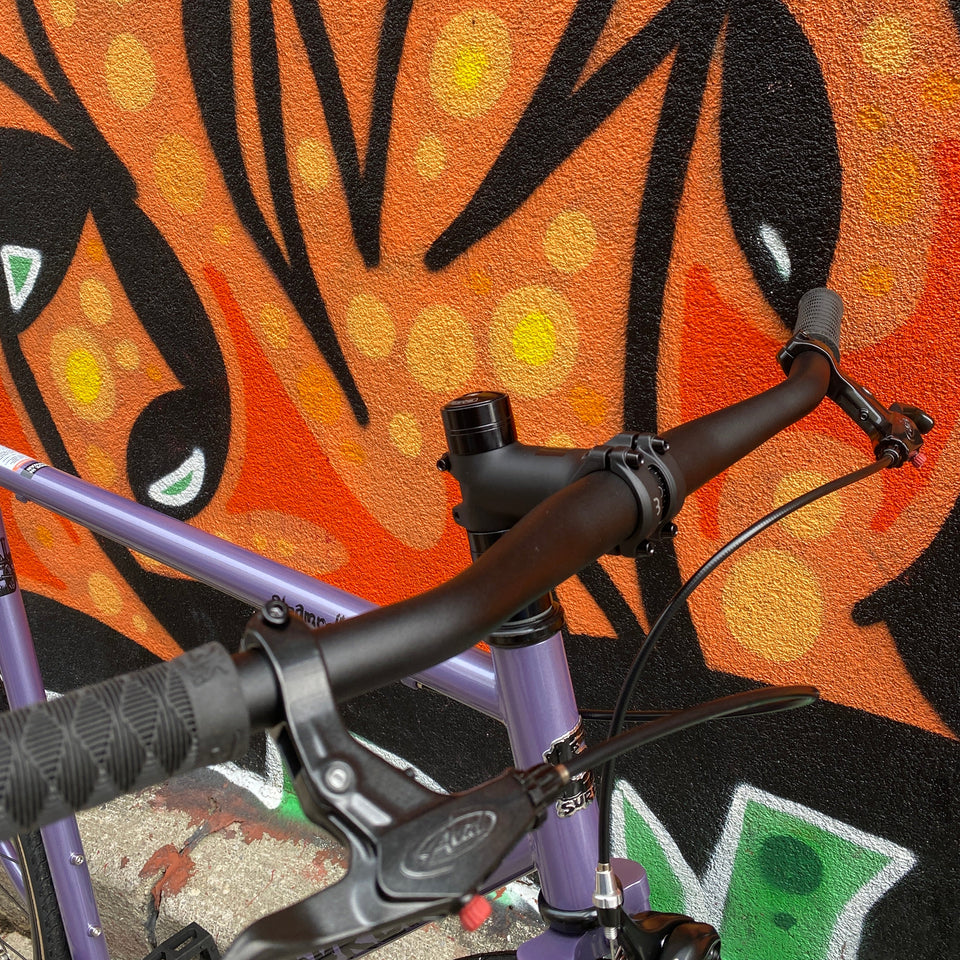 Steamroller Custom Complete Bike