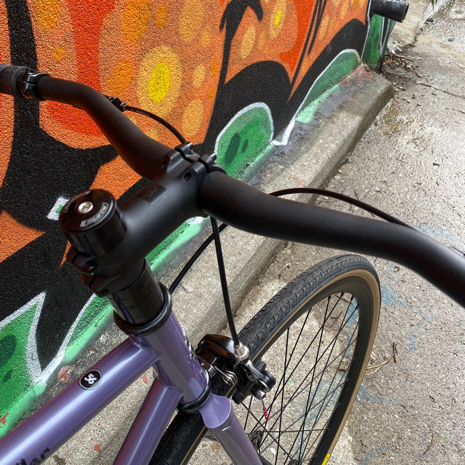 Steamroller Custom Complete Bike
