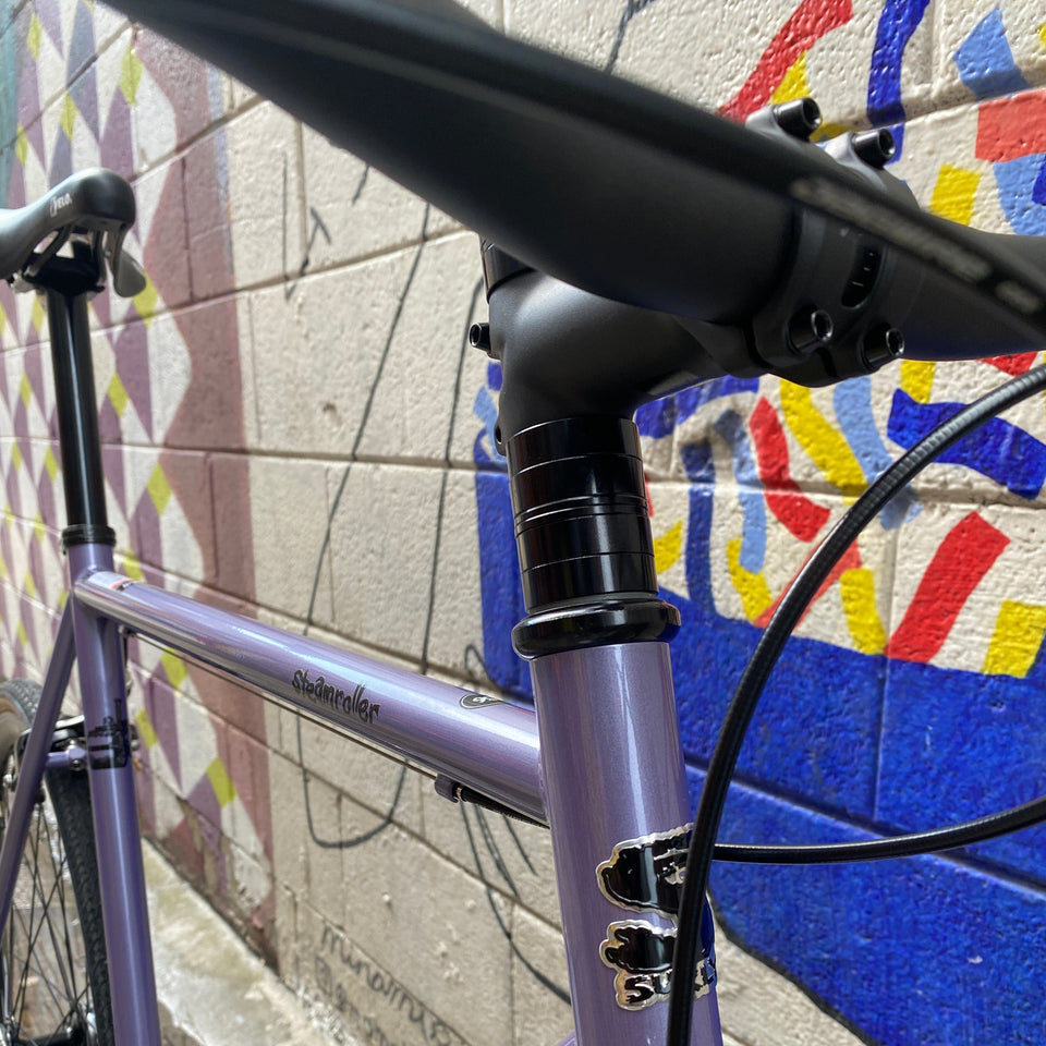 Steamroller Custom Complete Bike